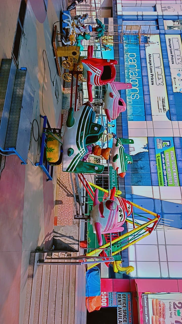 Professional Services