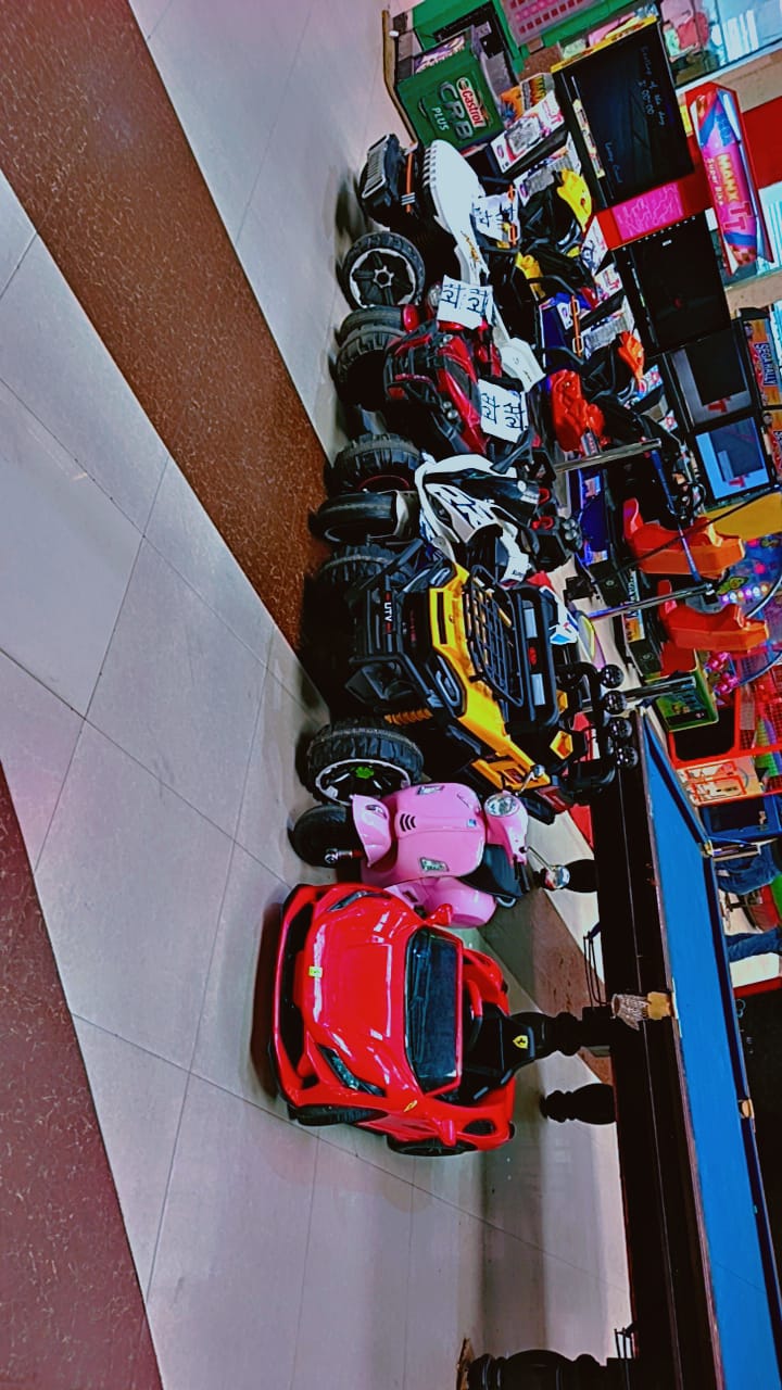 Professional Services